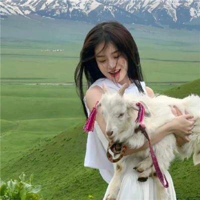 向往的生活老友记